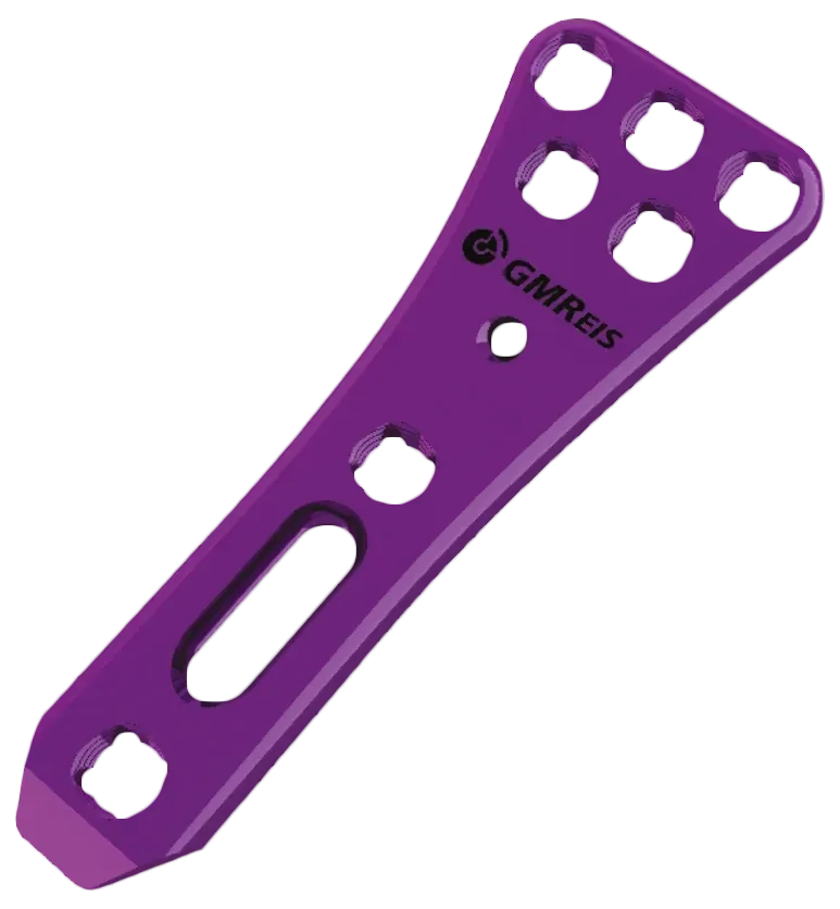 Placa Versalock® MIS Volar