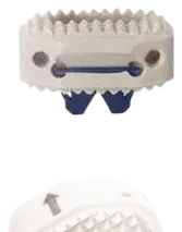 Coluna cervical