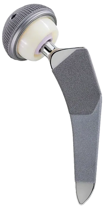 Conjunto articulado sobre o cone femoral